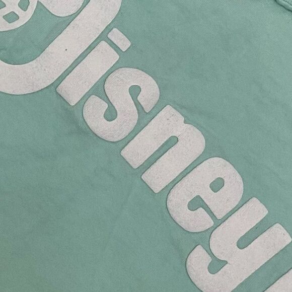 Walt Disney World Spirit Jersey - Picture 9 of 13